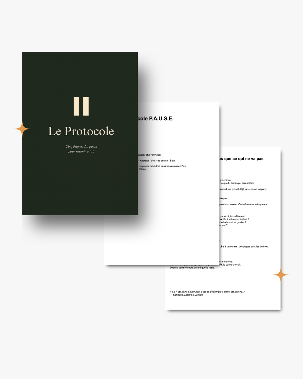 Le Protocole P.A.U.S.E.